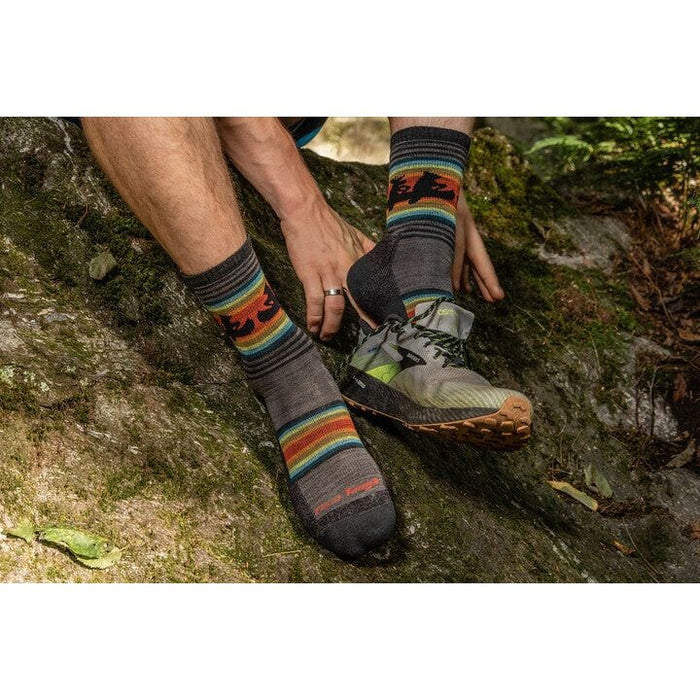 DARN TOUGH WILLOUGHBY MICRO CREW LIGHTWEIGHT HIKING SOCK MEN'S Apparel Darn Tough 